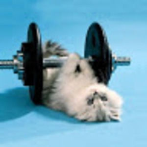 Meet your Posher, Blue